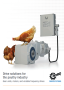 
A6070 - Flyer: Poultry
